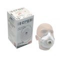 Era 6210 FFP2 Ventilli Maske (30 Adet)